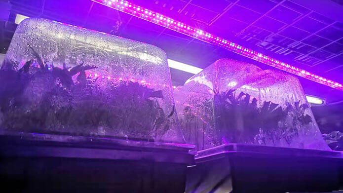 What is the led grow light?