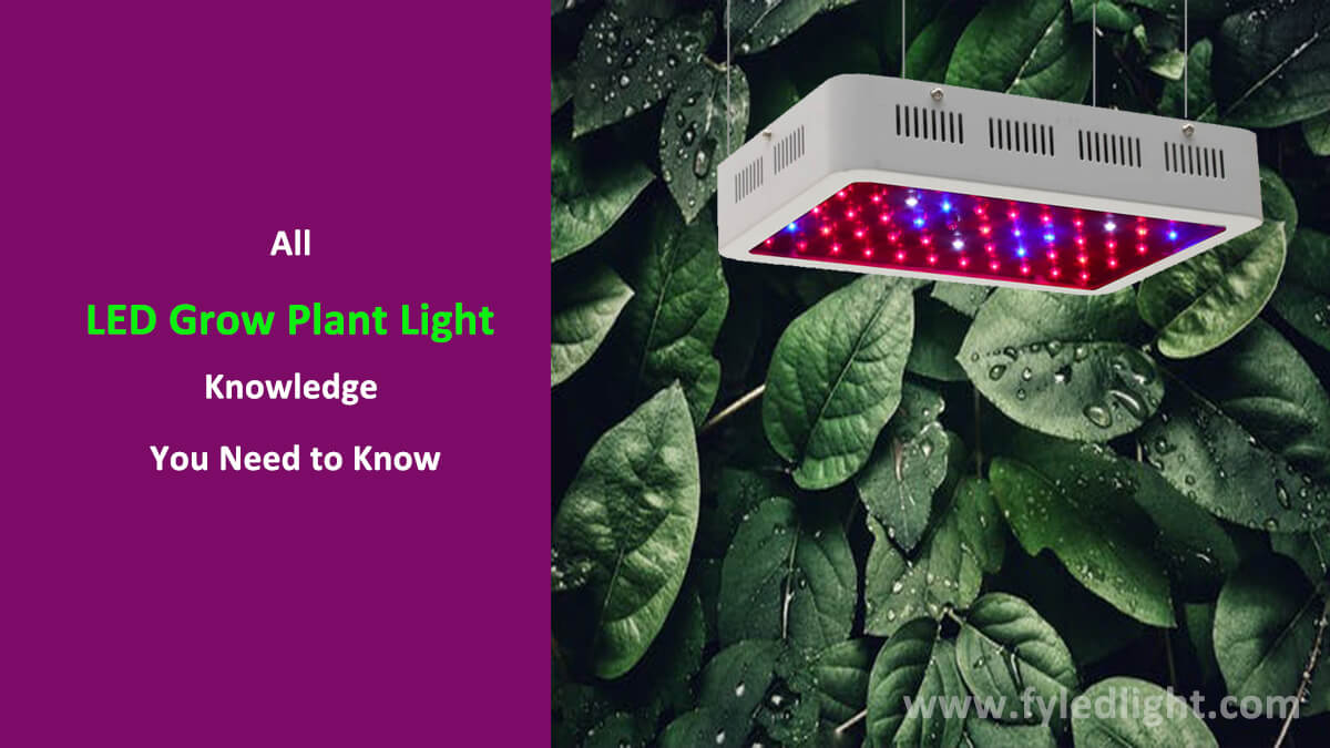 All Led Grow Plant Light Knowledge You Need to Know