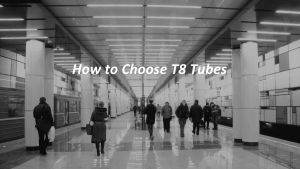 How to choose LED T8 Tube
