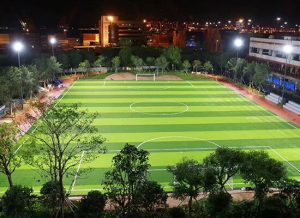 Simple Guidance For You In Soccer Field Lights